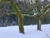 ZAKOPANE i KRAKÓW – grudniowa wycieczka